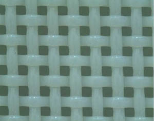 ƽW(wng)